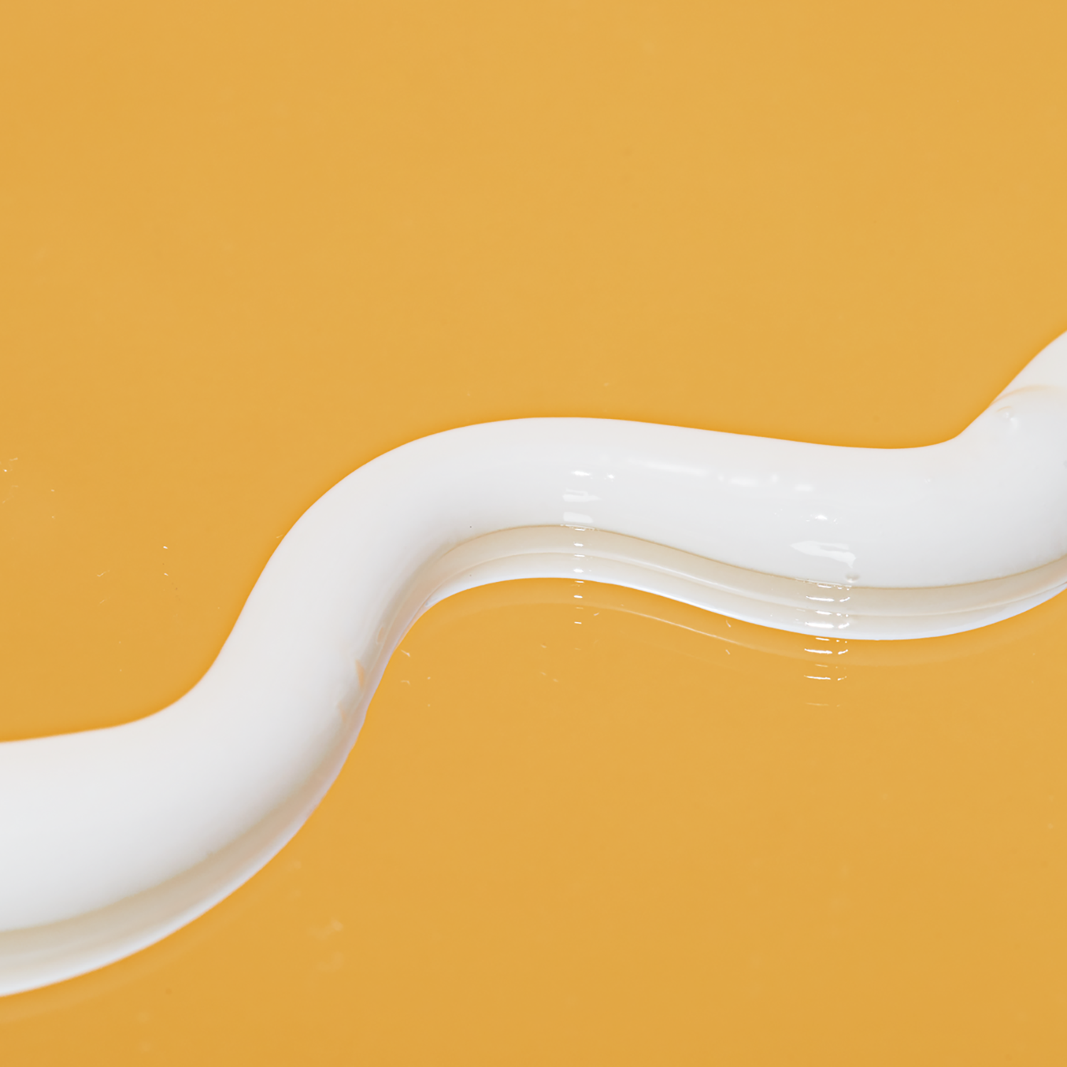 normcore signature conditioner | amika